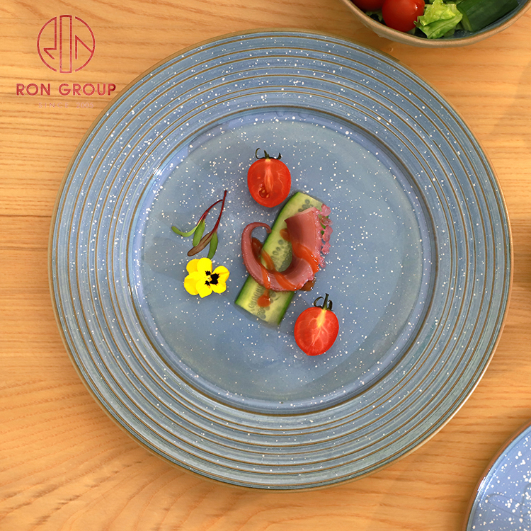 Blue Reactive Glaze Stoneware Dinner Set for Hotels & Restaurants – Round & Square Plates Collection