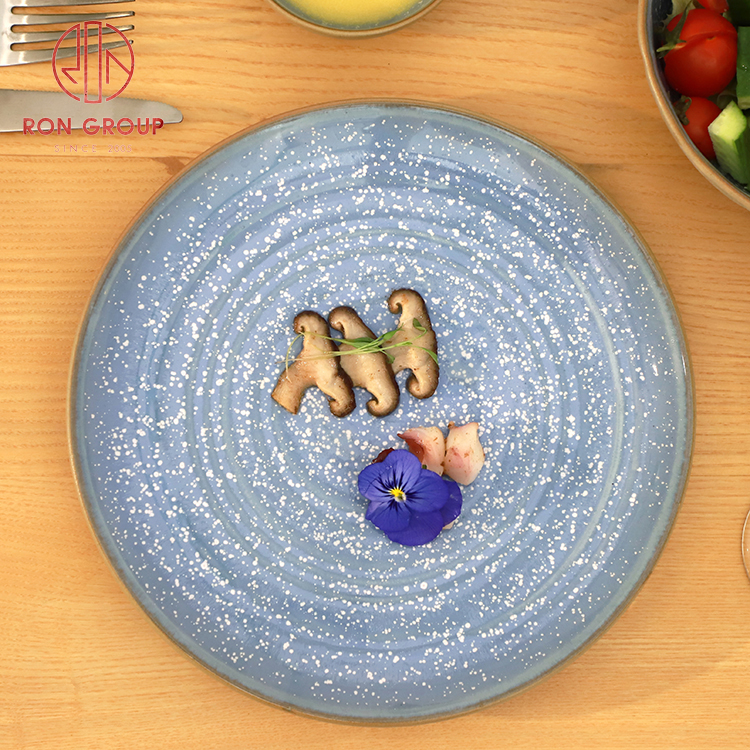 Blue Reactive Glaze Stoneware Dinner Set for Hotels & Restaurants – Round & Square Plates Collection